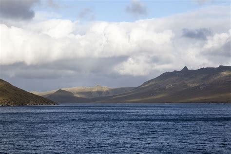 Campbell Island, New Zealand Subantarctic | travelimages.com.au