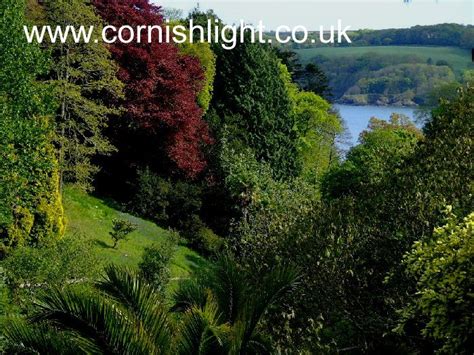 Cornwall Gardens delightful- often subtropical and colourful