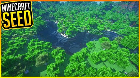 HUGE Forest Seed Minecraft Minecraft 1.16.4 ErikOnHisPeriod - YouTube