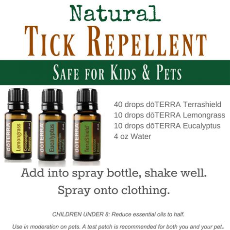 Natural Tick Repellent For Cats Recipe