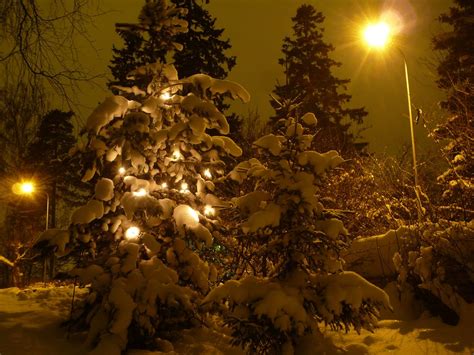 Christmas Lights | Christmas lights in the snow. Helsinki, F… | Timo Newton-Syms | Flickr
