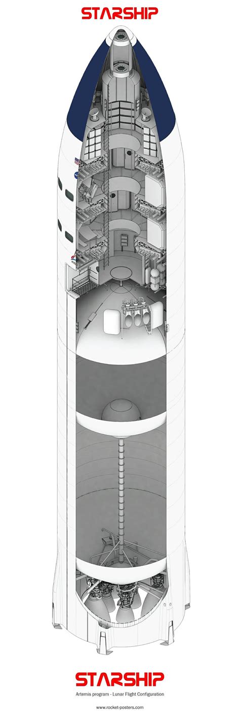 Cutaway diagram of SpaceX Lunar Starship in 2020 | Spaceship concept, Spacex starship, Starship ...