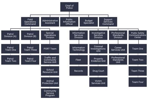 E Commerce Organizational Chart