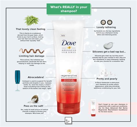 Shampoo Ingredients: The Basic Ingredients You Should Know | All Things ...