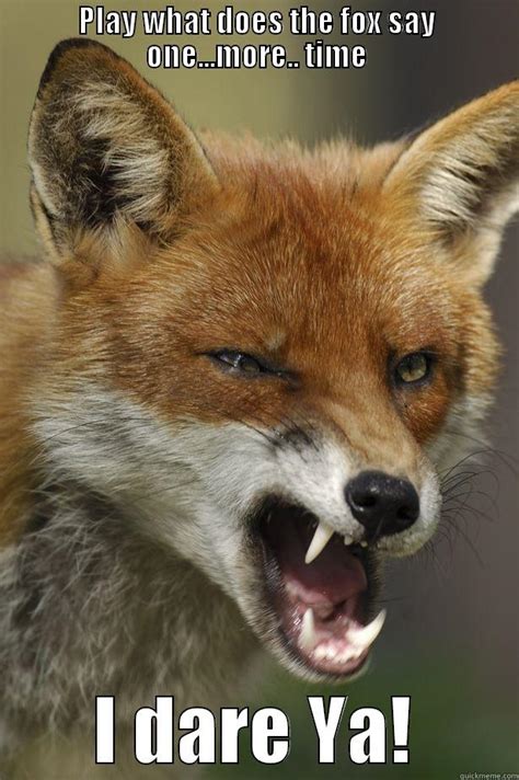 Angry Fox - quickmeme