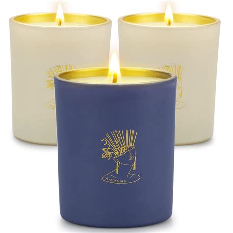 3 Pack Candles for Home Scented, 23oz Lavender Scented Candle Set for sale | Mesa, AZ | Nellis ...