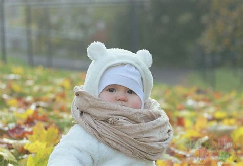 Fall Photoshoot - Baby Bear | Fall photoshoot, Baby bear, Photoshoot