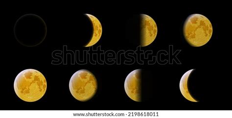 Phases Moon On Black Background Vector Stock Vector (Royalty Free ...