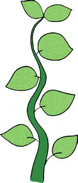 Beanstalk Clip Art - ClipArt Best