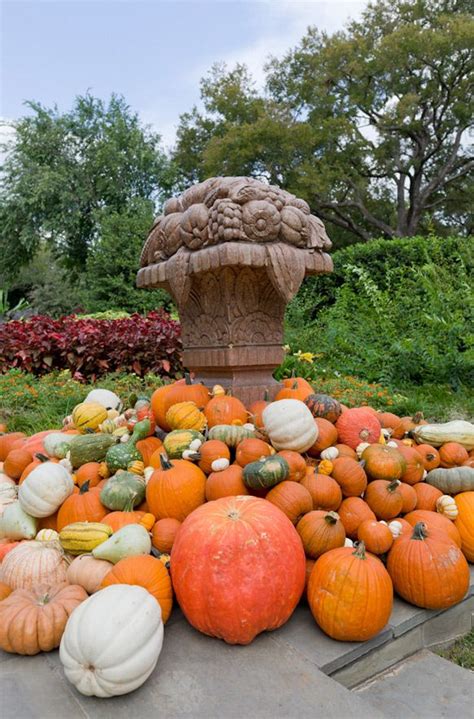 Dallas Arboretum, Autumn at the Arboretum, Fall, Garden, Pumpkins ...