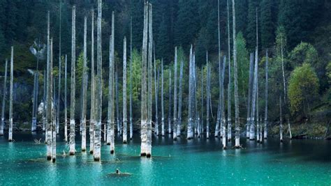 Kaindy Lake Is a Ghostly Underwater Forest | Travel and Exploration ...