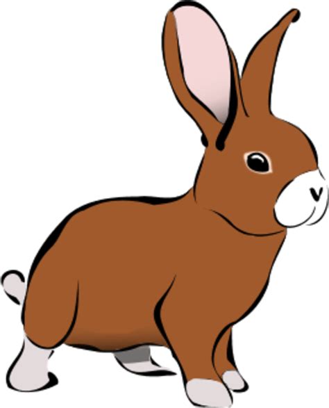 Free Rabbit Vector Cliparts, Download Free Rabbit Vector Cliparts png images, Free ClipArts on ...