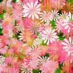 Abstract Flower Pattern Free Stock Photo - Public Domain Pictures