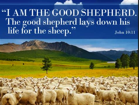 Our Good Shepherd - By Esther Campbell - Rise Church