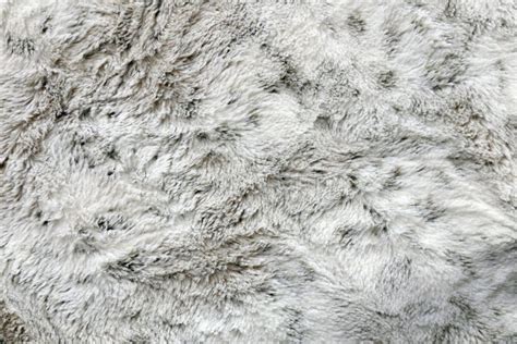 Soft and Cozy Faux Fur Textured White and Grey Blanket Background Stock ...