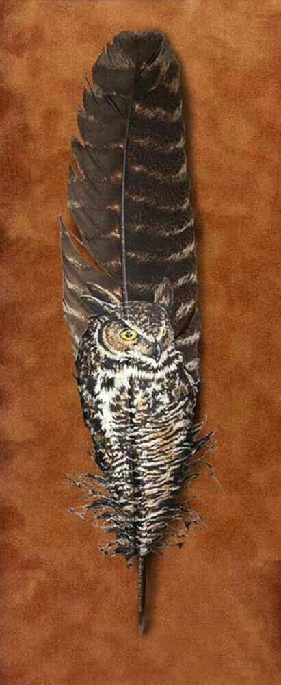 Pin by Nancy Douglas on Art to paint | Feather painting, Feather art, Owl painting