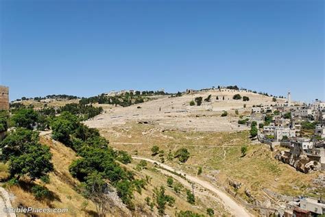 The Mount of Olives is a ridge with three gently rounded peaks that runs north-and-south just ...