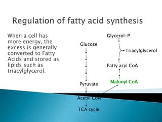 Fatty acid synthesis | PPT