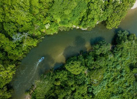 Colombia - at the heart of biodiversity - Vigilife