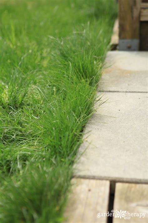 Lawn Care Unplugged: How to Use a Reel Mower - Garden Therapy