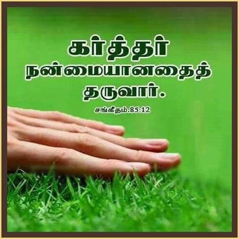 Bible Vasanam In Tamil, Tamil Bible Words, Bible Words Images, Scripture Pictures, Bible Quotes ...