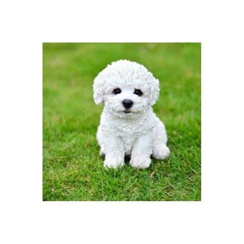 Sitting Bichon Frise Puppy Statue Dog Care Package, Bichon Frise Puppy ...