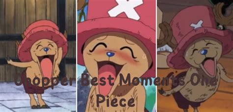 Tony Tony Chopper Cute New World