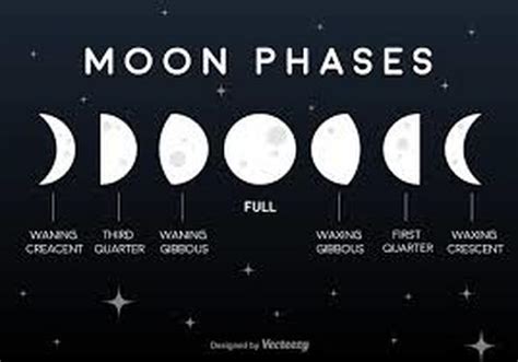 Moon Phases - Mrs. Coleman Science