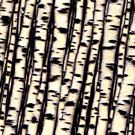 Birch Tree Bark Pattern Hyper Realistic Intricate Detail · Creative Fabrica