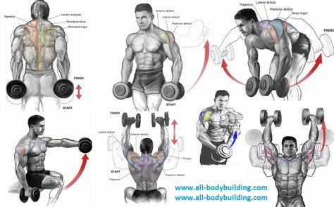 Top 6 Dumbbell Exercises for Shoulders ~ multiple fitness