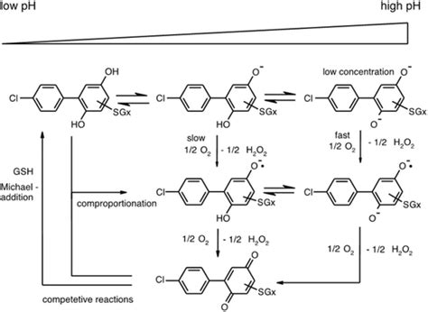 Mechanism of the adduct formation of 4-CB-2’,5’-Q and GSH | Download ...