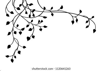 Vine Border Images, Stock Photos & Vectors | Shutterstock