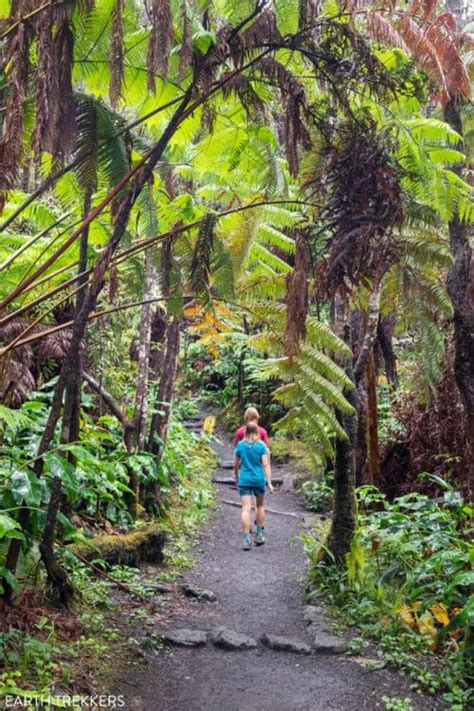 How to Hike the Kīlauea Iki Trail in Hawai’i Volcanoes National Park – Earth Trekkers