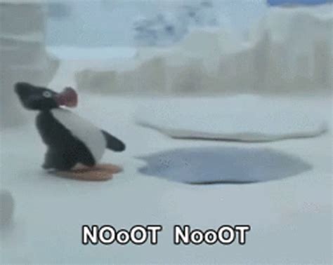 Pingu Noot Noot GIF - Pingu Noot Noot Penguin - Discover & Share GIFs