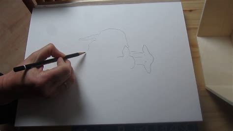 Tracing a Drawing with NeoLucida XL - YouTube