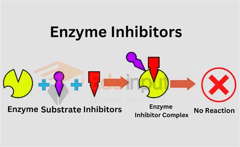 Enzyme Inhibitors