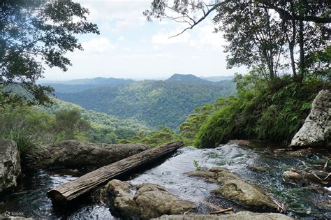 Springbrook National Park and Wildlife Day Tour with Chinese Guide ...