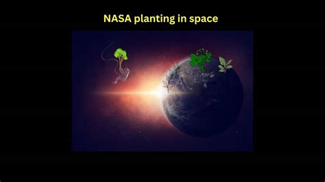 How NASA Growing Plants In Space Names & Reason - Signup Trending Nature - STN