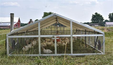 9x24 Broiler Coops For Growing Your Flock | Happy Farmer