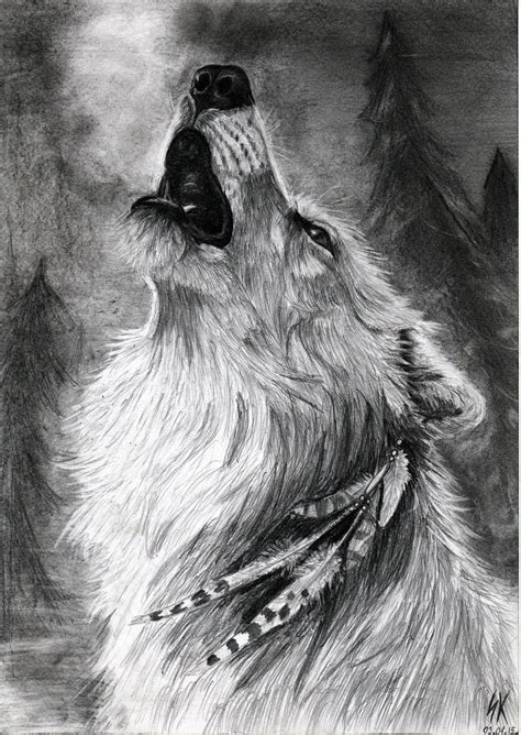 Wolf Drawings In Pencil at PaintingValley.com | Explore collection of Wolf Drawings In Pencil