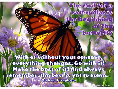 Caterpillar Into Butterfly Quotes. QuotesGram