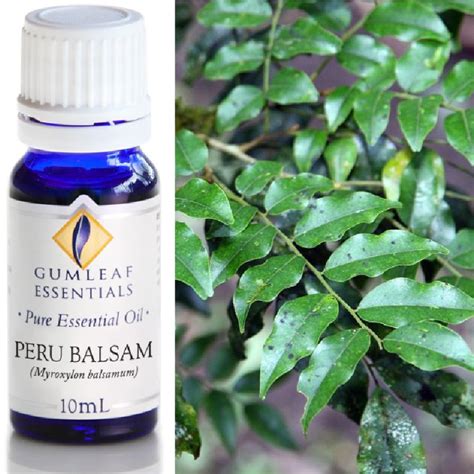 Peru Balsam Essential Oil - Trading Tree