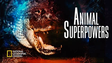 Animal Superpowers (TV Series 2012-2012) — The Movie Database (TMDb)