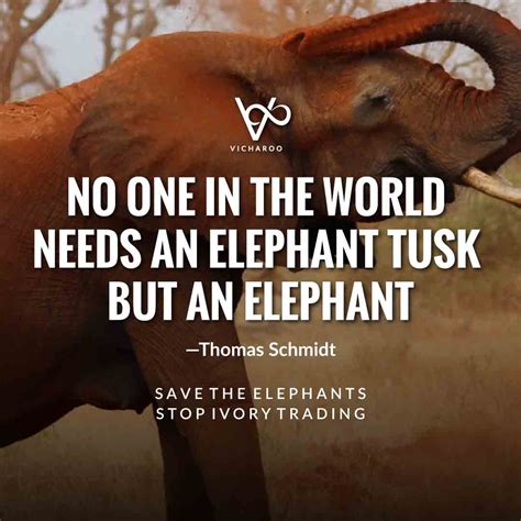 159+ Catchy Save Animals & Wildlife Conservation Slogans & Quotes ...