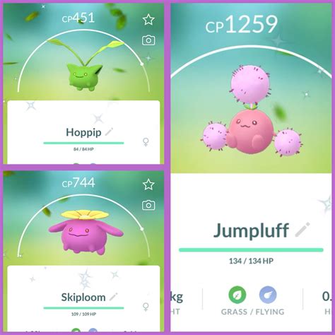 Evolution of shiny Hoppip | Pokemon GO Amino