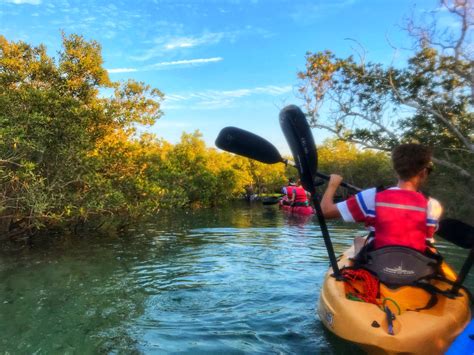 Why Mangrove Kayaking in Abu Dhabi must be on your list | Hopping Feet