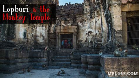 How to best experience the Lopburi Monkey Temple in 2024