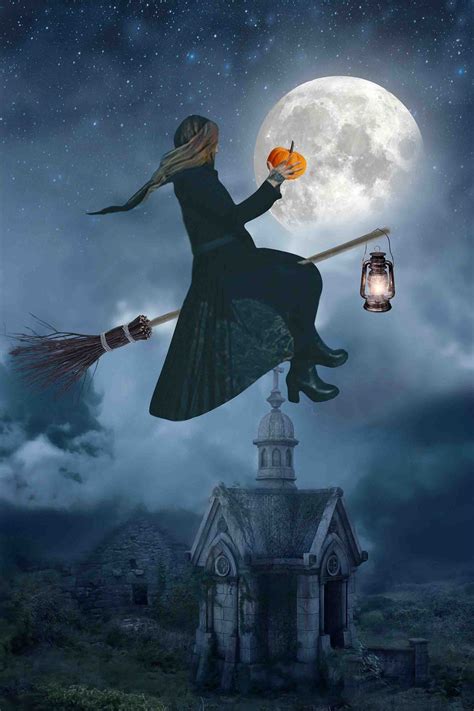 Halloween Moon Full Moon Pumpkin Night Backdropwitch - Etsy