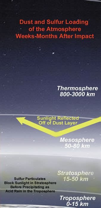 Chicxulub Environmental Effects