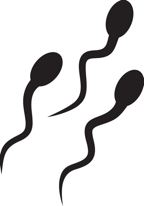 Sperm cells silhouette 4851322 Vector Art at Vecteezy